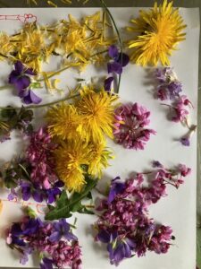 Flower artwork.